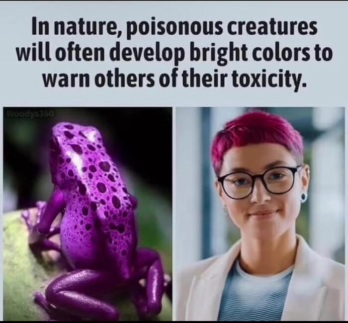 we-all-know-what-is-more-toxic-9gag