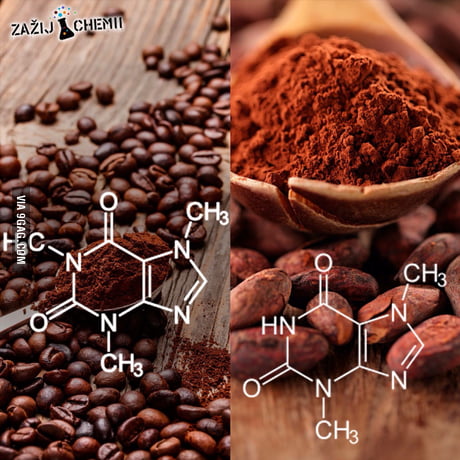 The Difference Between Coffee And Cocoa Only One Methyl 9gag