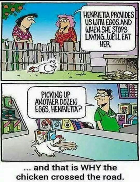 Why Did The Jeep Cross The Road Why did the chicken cross the road? - 9GAG