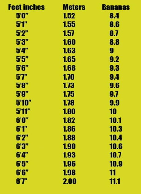 5 ft 10 in meters hotsell