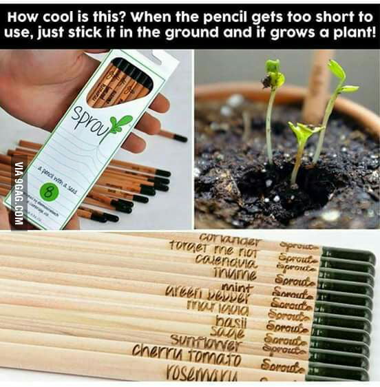 Genius environmental idea!