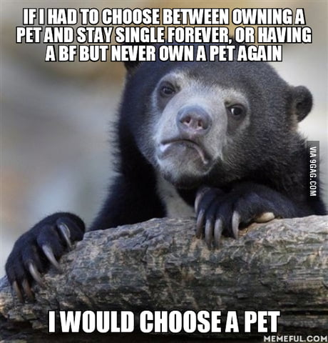 They Are Loyal And Won T Let You Down Especially Dogs 9gag