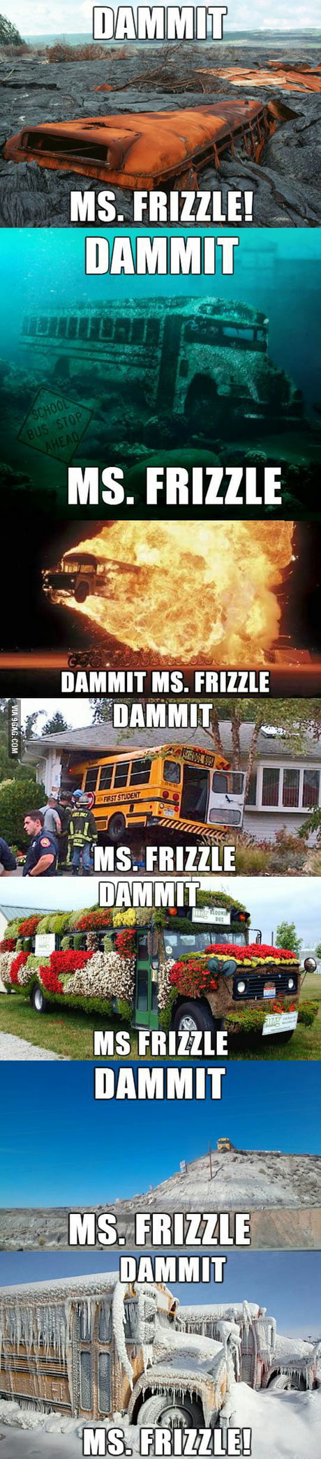 Meme Ms Rizzle Mrs Frizzle Memes Magic School Bus Netflix Show New Ms Frizzle