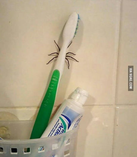  Well, It Ain't Toothpaste!