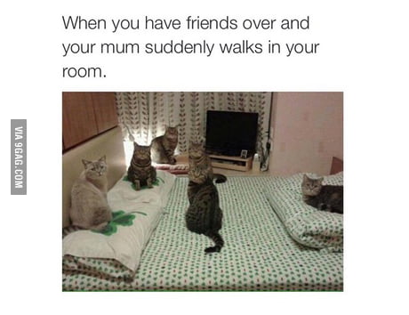 Walking into his friend's mom's bedroom