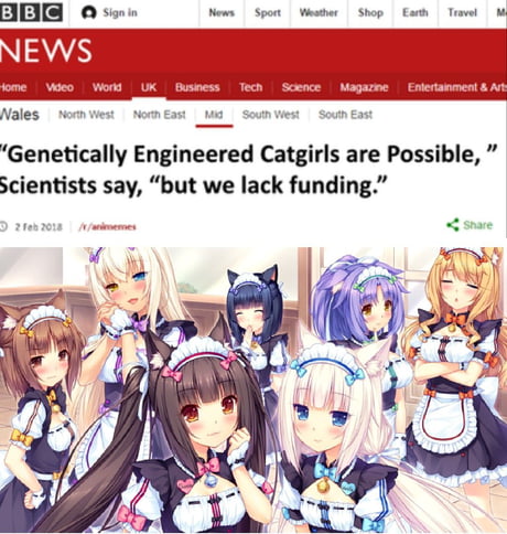 Genetically Engineered Catgirls - 9GAG