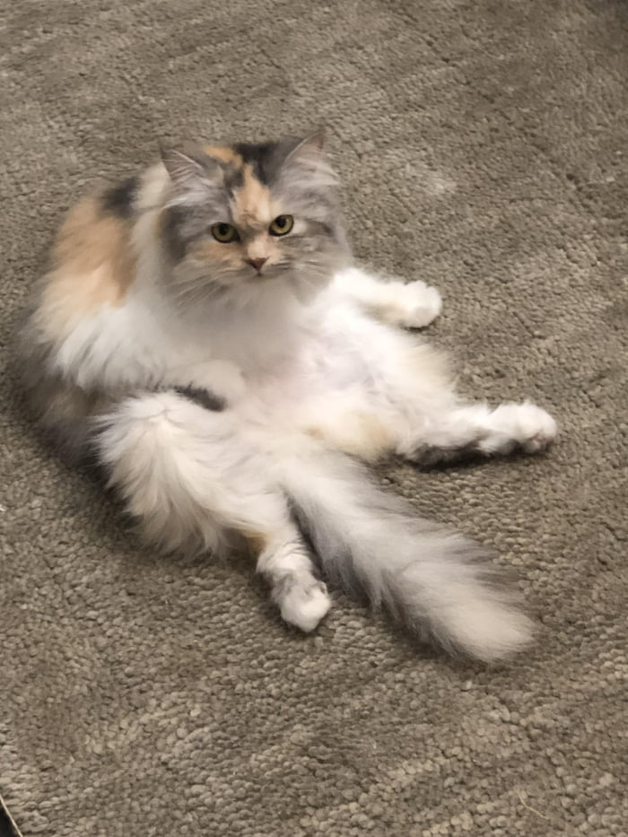 This is how she normally sits