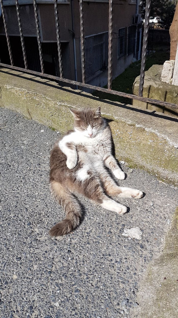 Sunbathing