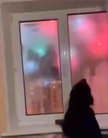 HAPPY NEW GODDAMN SNOOT!!!