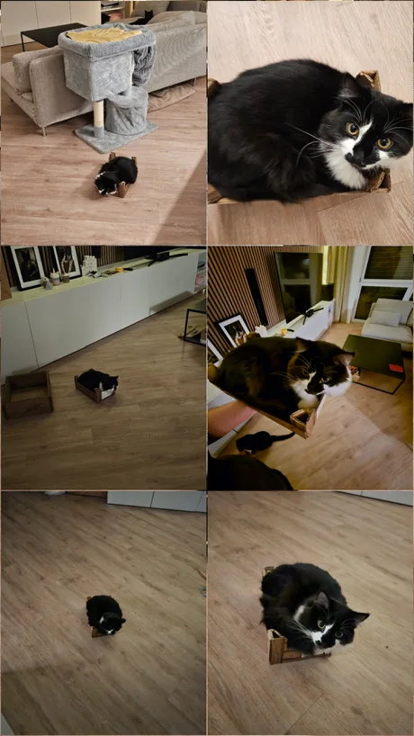 aLn55Mz_460swp.webp