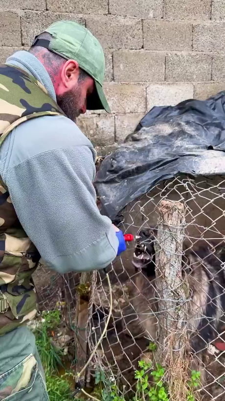 Bruno Jelovic is a Bosnian animal welfare activist and the founder of the organization Save the Dogs BiH. He rescues dogs from municipal shelters, the streets, abusive situations, and lives on chains.
