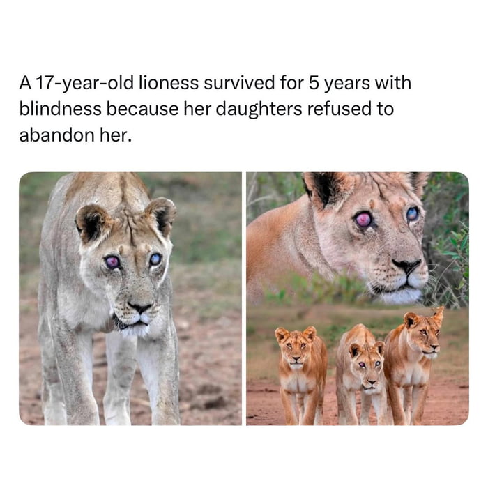 True family never leaves your side