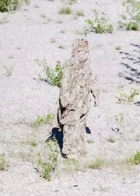 Introverts when guest arrive