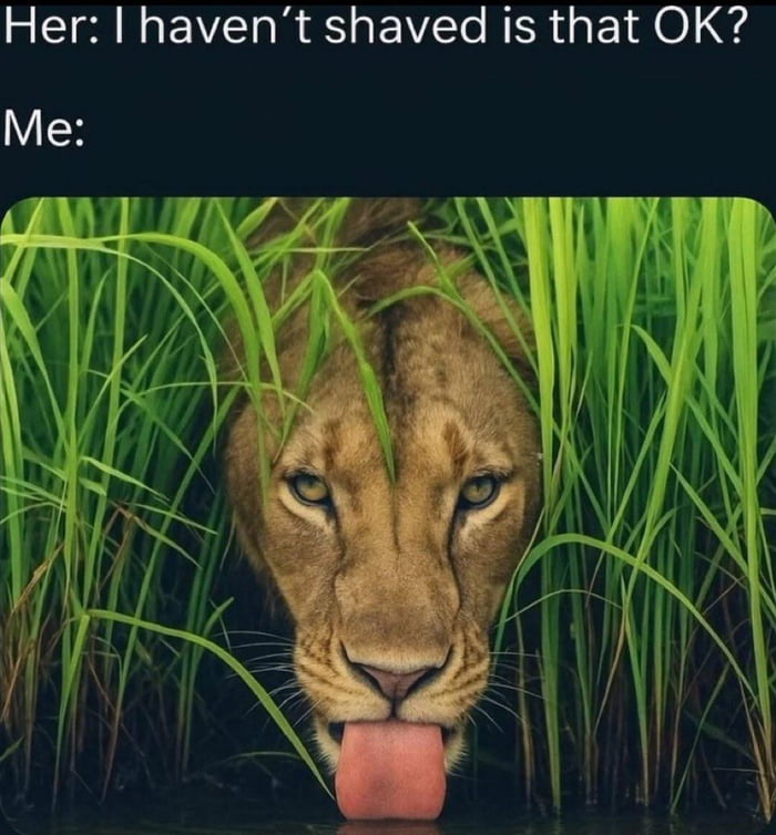 Schlurp