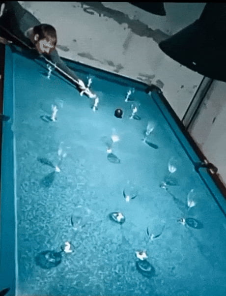 Amazing shot