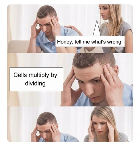 9GAG Memes