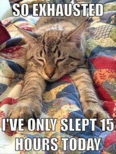 Hard life