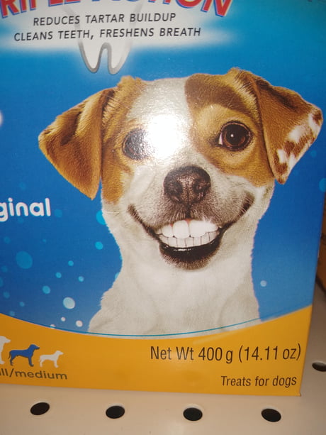 dog with human smile