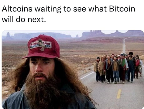 Altcoins waiting to see what Bitcoin will do next. - 9GAG