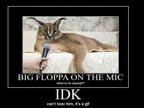 Big Floppa Edit / [Original] on Make a GIF