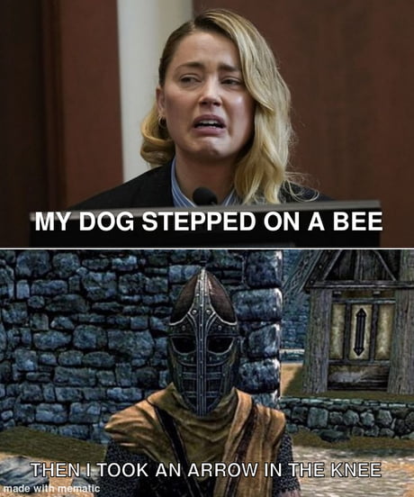 My Dog Stepped On A Bee - 9GAG