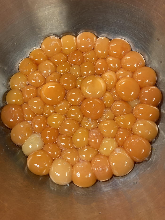 6 Dozen Egg Yolks all intact. 9GAG