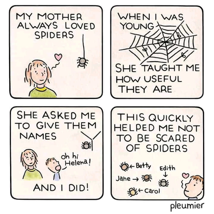 Spiders with names. 9GAG