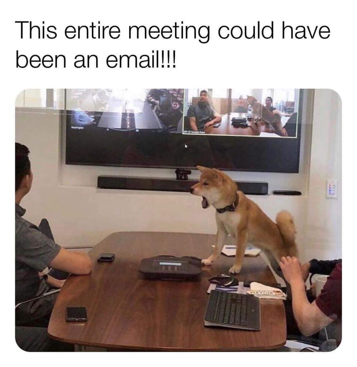 I can feel the doggo’s frustration