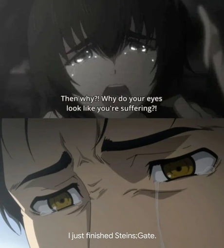 Best 30 Steins Gate Fun On 9gag