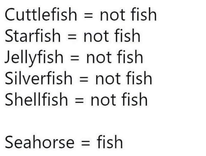 Selfish = now fish