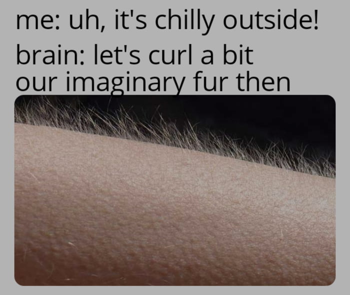 Shower thoughts 9GAG