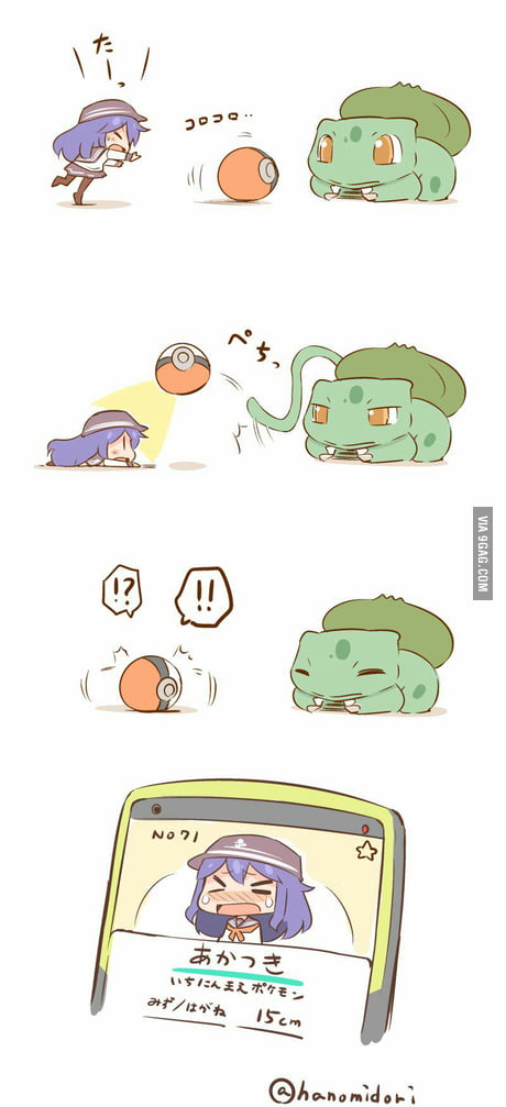 Pokemon Go Gone Wrong 9gag