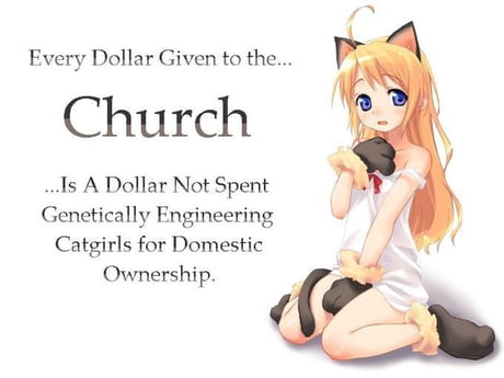 Genetically engineered catgirls for domestic ownership - 9GAG