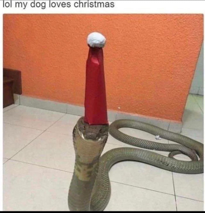 He's a little shy