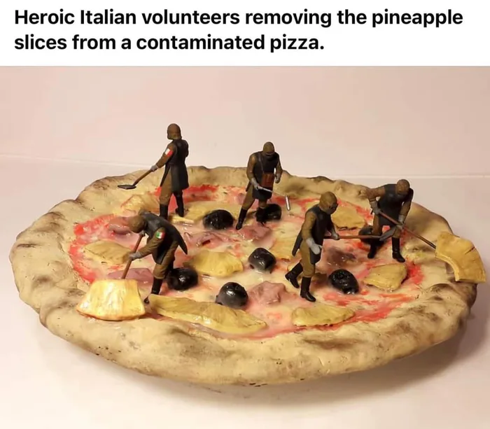 Heroic Italian Volunteers