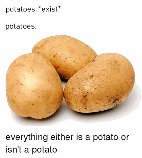 Best Funny potato of wisdom Memes - 9GAG