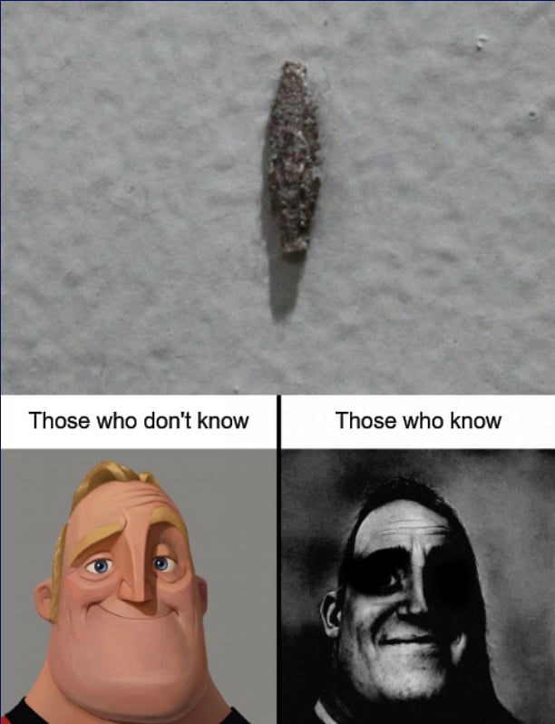 it-s-just-a-speck-of-dust-right-9gag