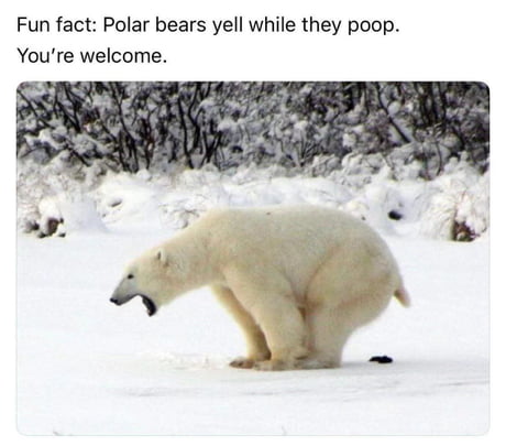 Fun fact