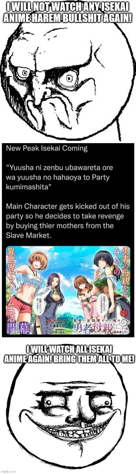 New Peak Isekai Coming!!! “Yuusha ni zenbu ubawareta ore wa yuusha no  hahaoya to Party kumimashita” Main Character gets kicked out of his party  so he decides to take revenge by buying