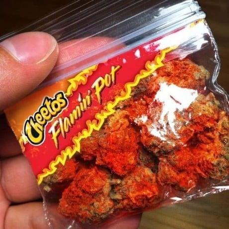 What You Doing After Smoking This 9gag