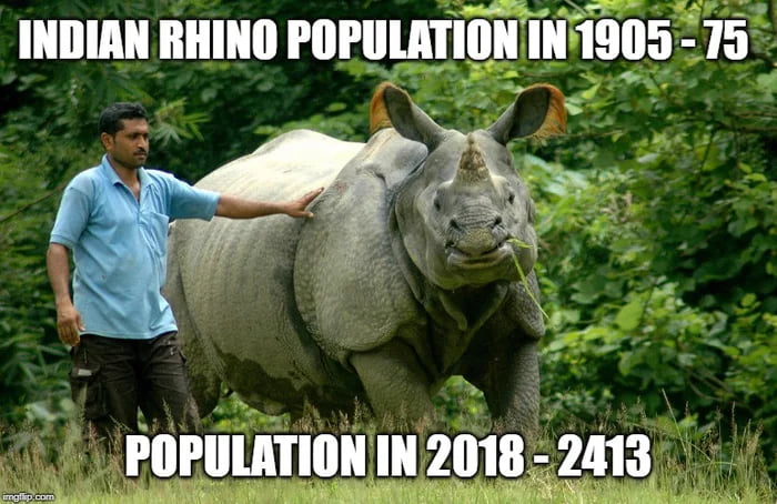 New Update!! Tank Doggo population in India in 2025: 3323