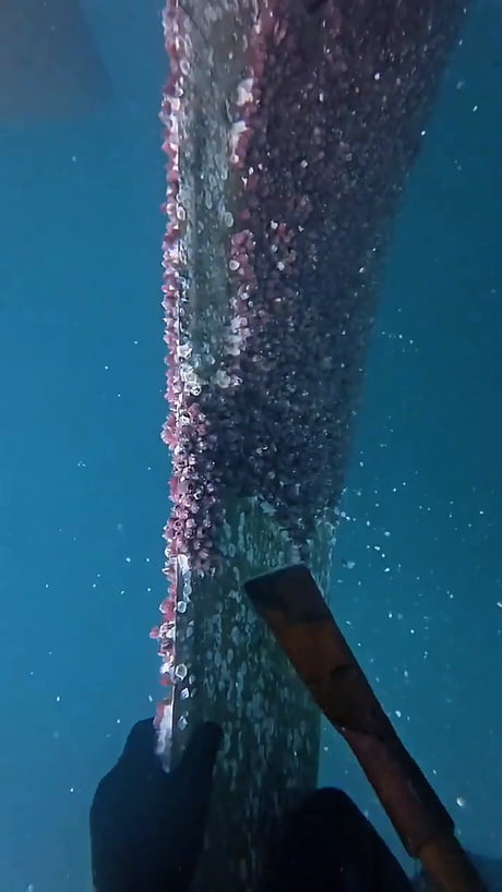 Since you guys liked the first part, here to part 2