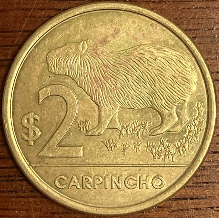 Capybara coin (from Thailand I think) - 9GAG