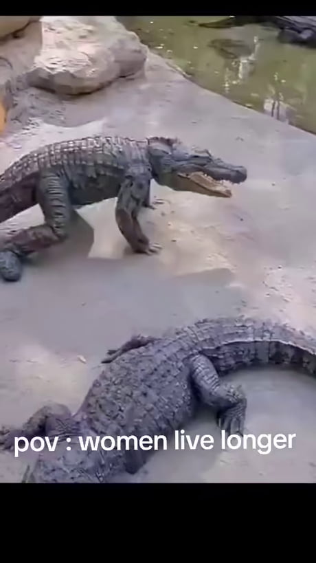 Dats a Long legged Croc