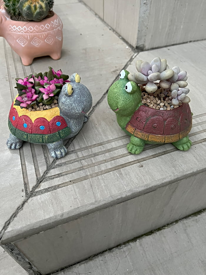 My favorite succulent pots
