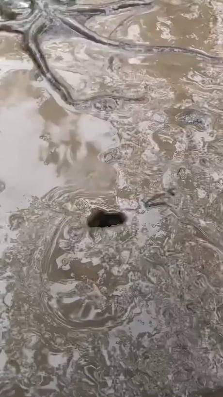 You know what, just turn the sound up...
