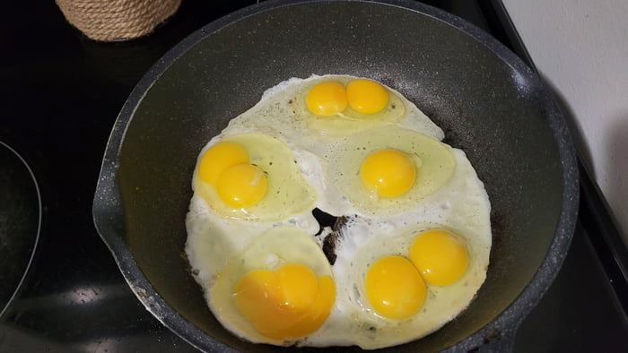 The new cage free eggs hit different. - 9GAG