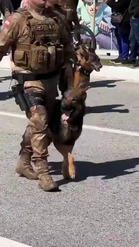 When you mix bad boys with good boys