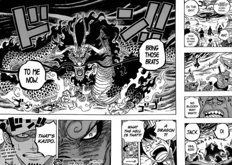 Finally Revealed the Name of Kaido's Devil Fruit - One Piece