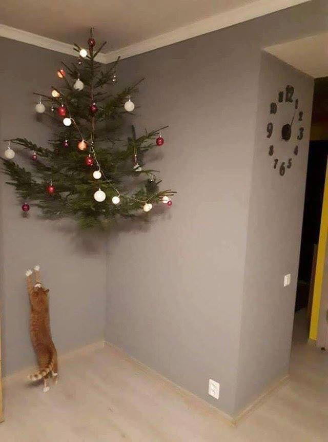 I propose this as a replacement of the "floor is lava" format